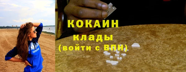прущие грибы Зеленодольск