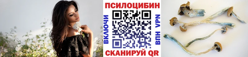 Псилоцибиновые грибы Cubensis хочу Ильский